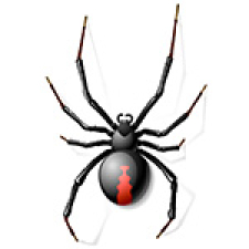 black-widow