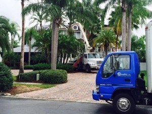 pest control services pinellas