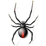 black widow