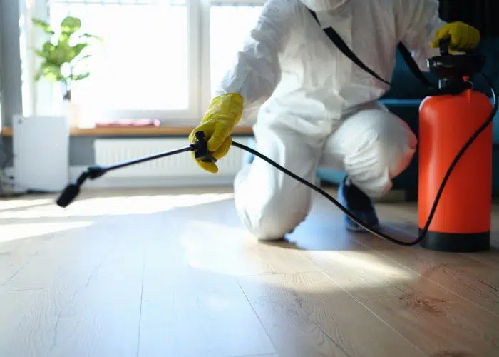 Featured image for “How to Rodent Proof Your Home Before Winter Hits”