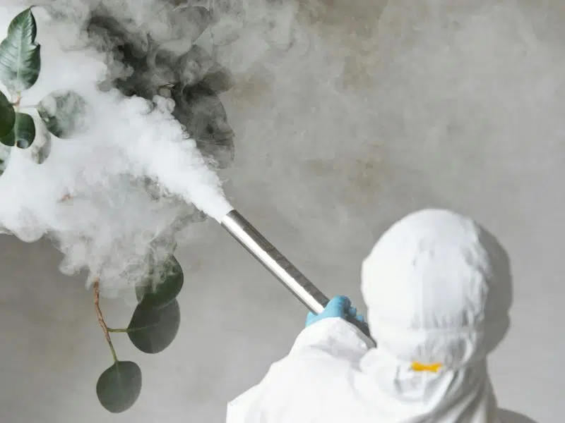Featured image for “What to Expect Before, During, and After Pest Fumigation”