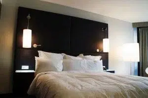 bed-bugs removel
