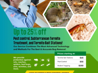 Termite home inspection