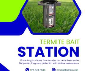 termite bait
