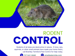 rodent control