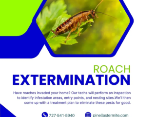 Pest treatment process