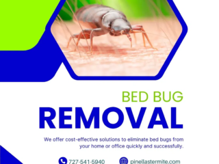 bed bug removal