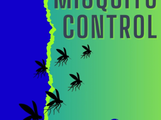 misquito control