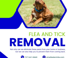 flea and tick removal