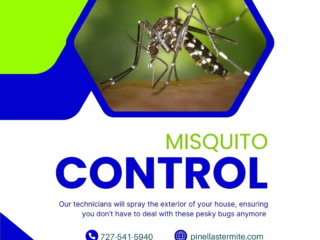 Termite damage repair