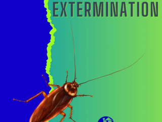 roach extermination