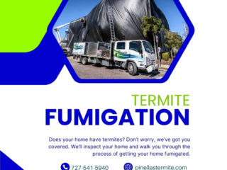 Home termite check