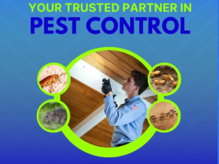 Pest safety tips