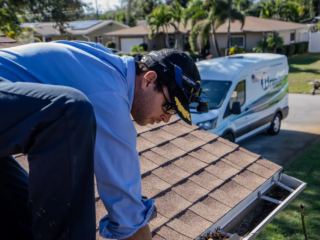 Termite repair team