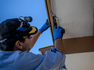 Pest inspection image