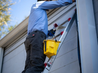 Pest service worker