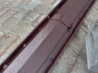 Termite home service
