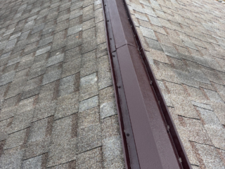 Termite control photo