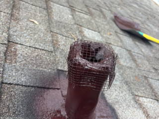 Pest damage repair