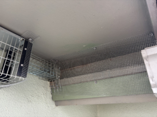Termite prevention job
