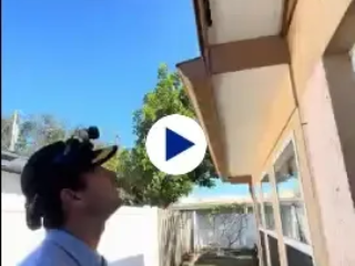 Rodent