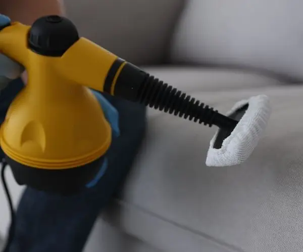 Rodent Control services