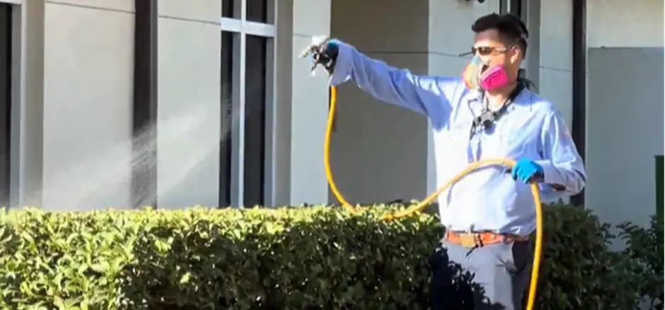 Featured image for “Pest Control Services in Manatee County: Your Complete Guide to Year-Round Protection”